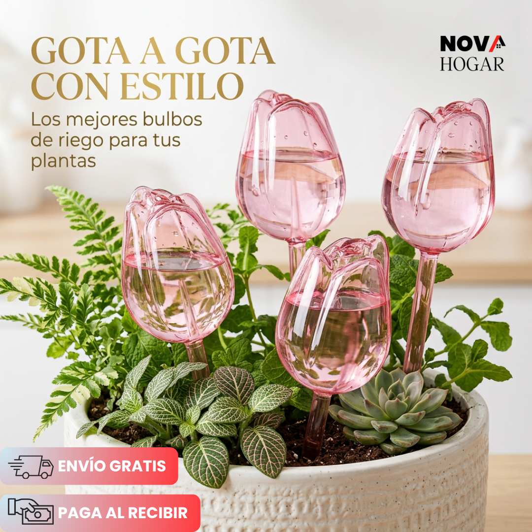 TulipHydrate™ Pack x4 Tulipanes de Riego Automático