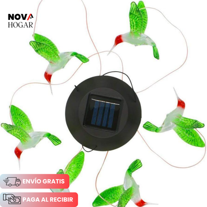 HumiLumi™ Campanilla con Luz Solar de Colibríes