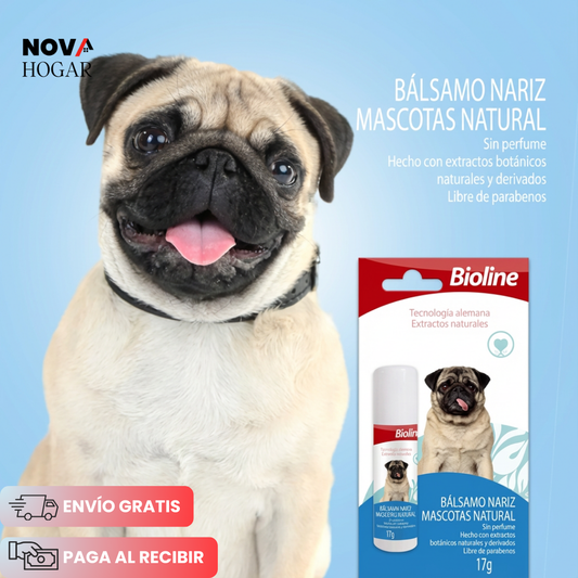 BeeCare™ Bálsamo Natural para Patas y Nariz de tus Perros