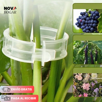 EcoClip™ Pack x100 Clips Plásticos Reutilizables para Plantas