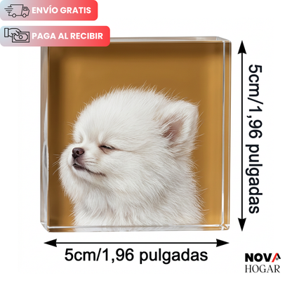 MemoryView™ Set x10 Marcos Magnéticos para Fotos en Nevera