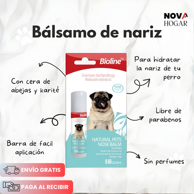 novahogar.co