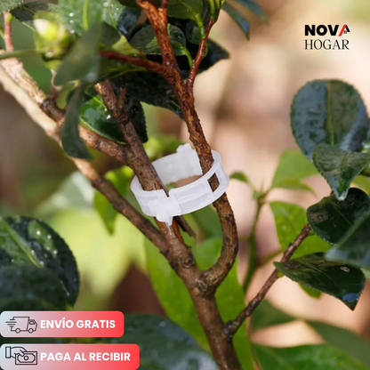 EcoClip™ Pack x100 Clips Plásticos Reutilizables para Plantas