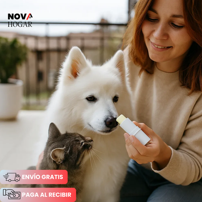 BeeCare™ Bálsamo Natural para Patas y Nariz de tus Perros