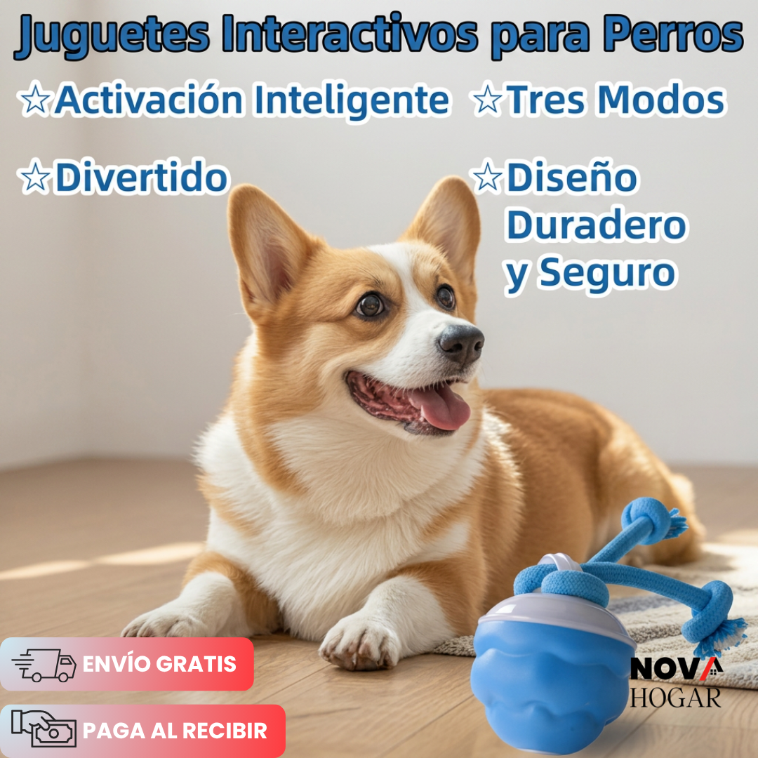 ZoomBuddy™ Pelota Interactiva Para Perros