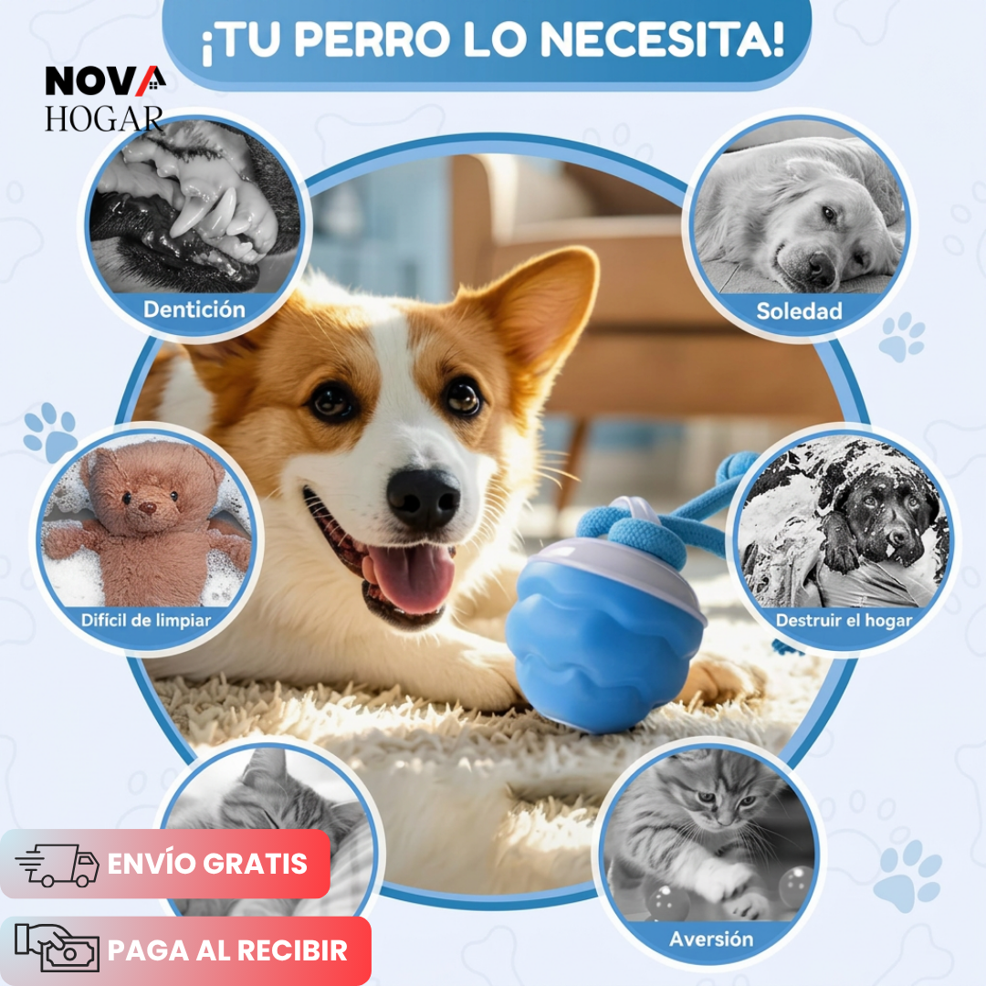ZoomBuddy™ Pelota Interactiva Para Perros