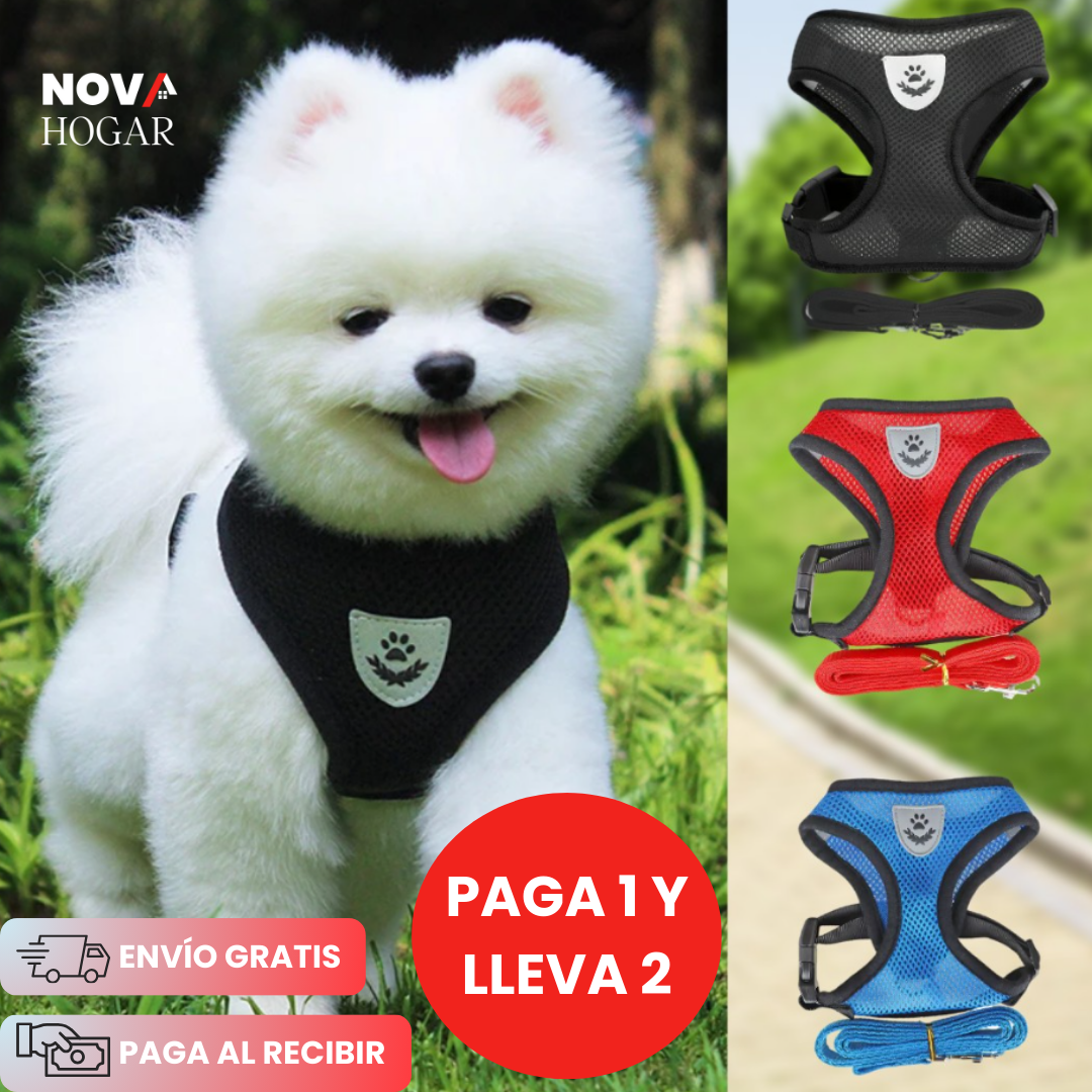 2x1 SafePaws™ Arnés Ajustable que Protege a tu Mascota