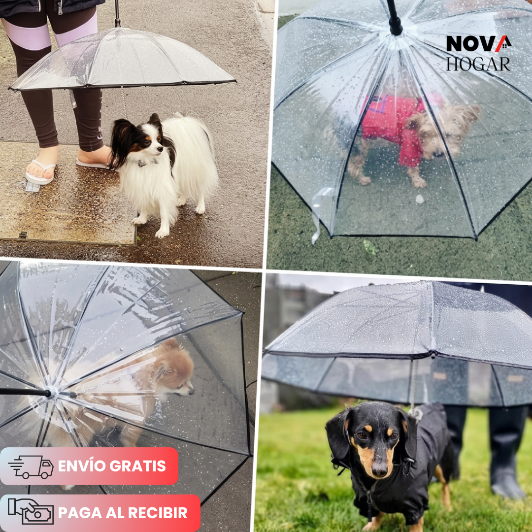 PupShield™ Paraguas Protector Para Perros Consentidos