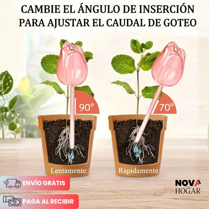 TulipHydrate™ Pack x4 Tulipanes de Riego Automático