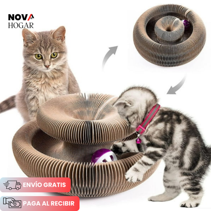 ScratchiCat™ Rascador Interactivo 5 en 1 para Gatos