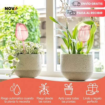 novahogar.co