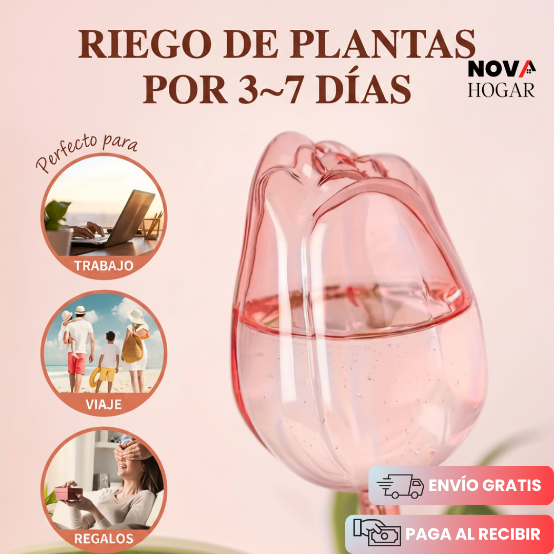 TulipHydrate™ Pack x4 Tulipanes de Riego Automático