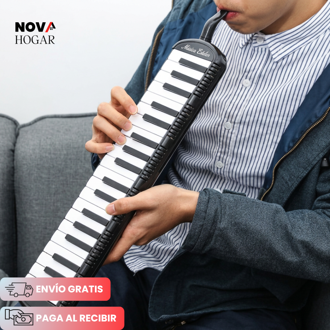 MelodySpark™ Melódica Para Desarrollo Musical Infantíl