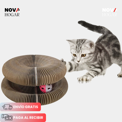 ScratchiCat™ Rascador Interactivo 5 en 1 para Gatos