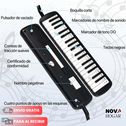 MelodySpark™ Melódica Para Desarrollo Musical Infantíl
