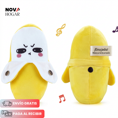 novahogar.co