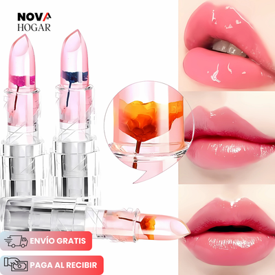 novahogar.co