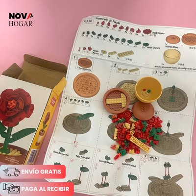 novahogar.co