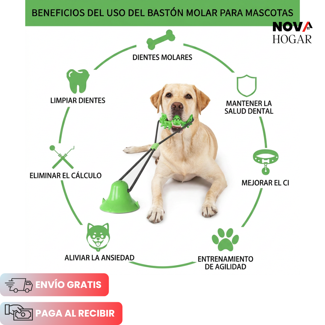 TugPlay™ Juguete Para Liberar Energía Canina