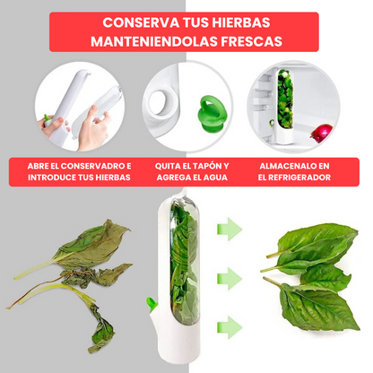 FreshGuard: Sistema Conservador de Hierbas