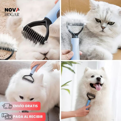 novahogar.co