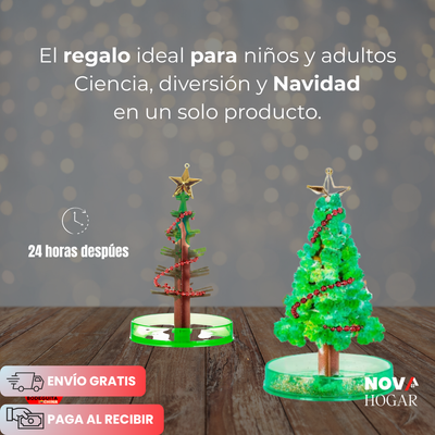 novahogar.co