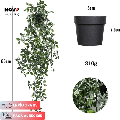 novahogar.co