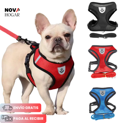 2x1 SafePaws™ Arnés Ajustable que Protege a tu Mascota