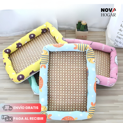 novahogar.co