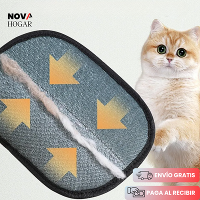 novahogar.co