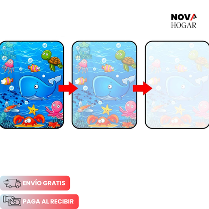 Pack x4 WaterBook™ Libro Mágico Reutilizable