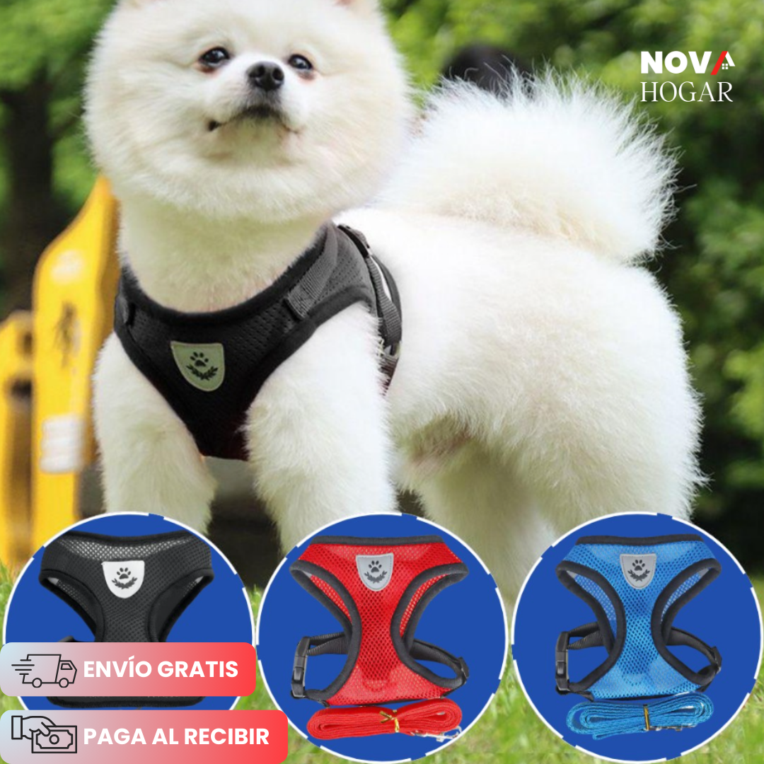 2x1 SafePaws™ Arnés Ajustable que Protege a tu Mascota