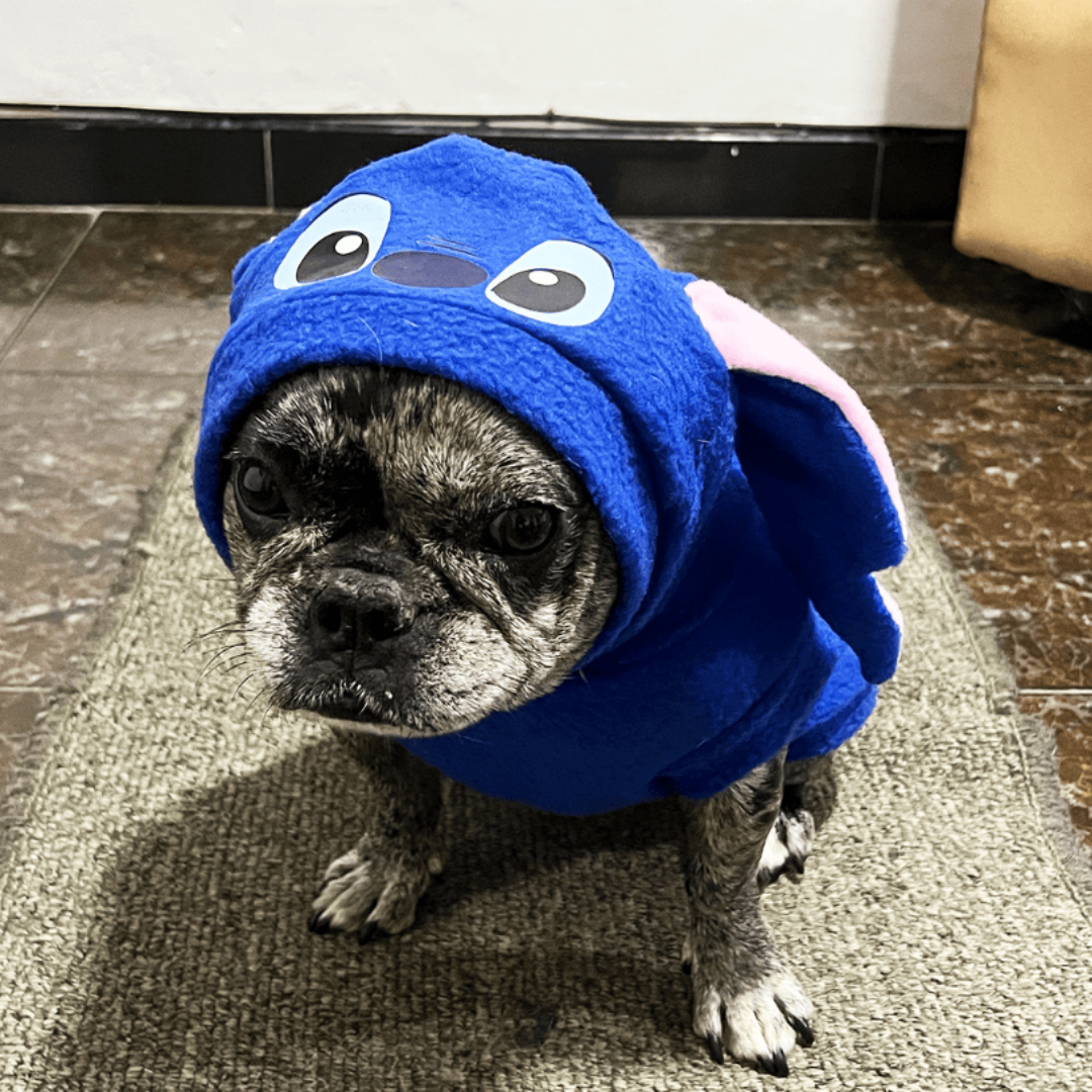 PawCostume™ Disfraz de Stitch para Perros