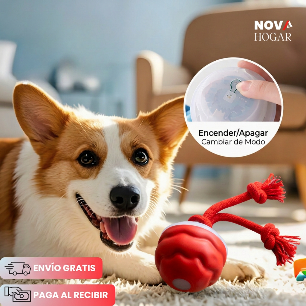 ZoomBuddy™ Pelota Interactiva Para Perros